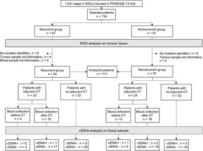 Postoperative circulating tumor DNA detection is associated with the risk of recurrence in patients resected for a stage II colorectal cancer